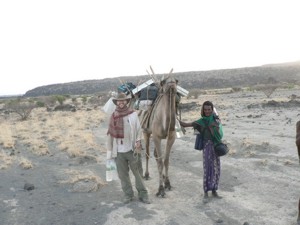 Camels laden with seismic and GPS gear
