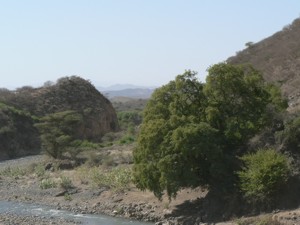 River heading into Afar from the Ethiopian Highlands