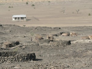 Afar pastoralist dwellings and clinic at Barantu
