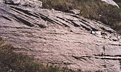 Cross bedding