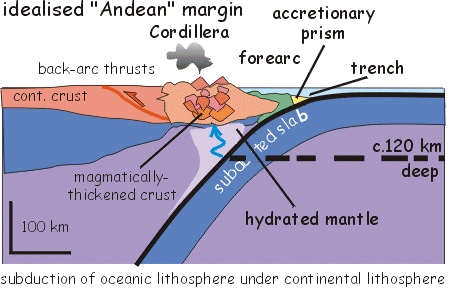 idealised "Andean" margin - subduction of oceanic lithosphere under continental lithosphere