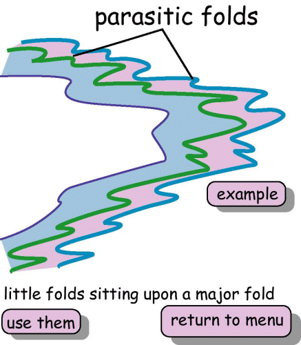 Parasitic folds