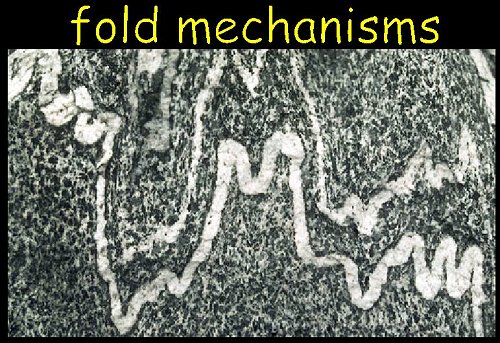 Fold mechanisms