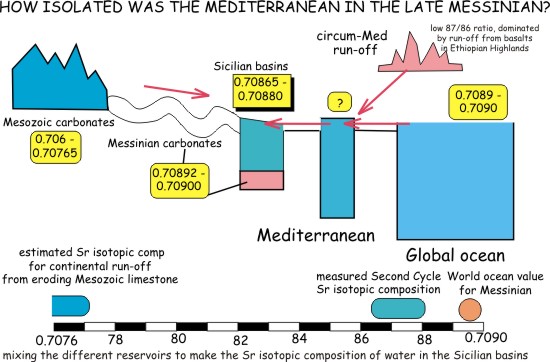 Strontium isotopes in the Mediterranean Messinian.