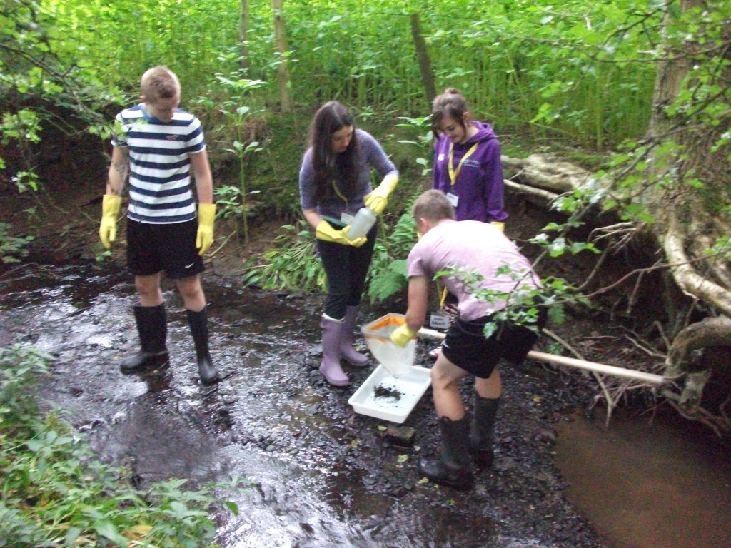 Environmental studies picture