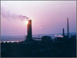 Greenhouse gasses
