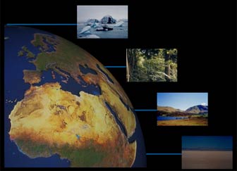 variations in solar energy across the globe
