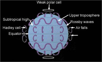 General circulation