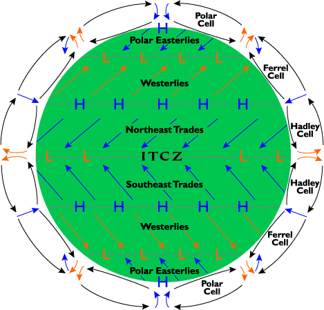 General circulation and the polar cell