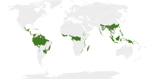 Map of tropical and subtropical moist broadleaf forest biome