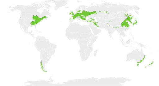 Map of temperate broadleaf and mixed forest biome
