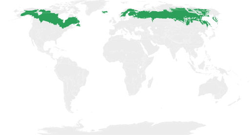 Map of the Taiga biome