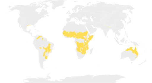 Map of tropical and subtropical grassland, savanna and shrubland biome