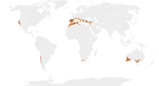 Map of Mediterranean forest, woodland and scrub biome