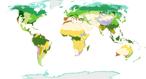 The 14 biomes of the world according to WWF
