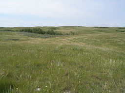 Native grasslands in the Missouri Coteau, Saskatchewan, Canada.