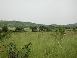 Sahel Savanna in SW Burkina Faso