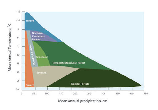 How temperature and precipitation determine the distribution of biomes