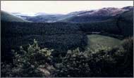 to the British uplands