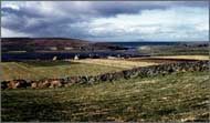 Much of upland Britain can be described as a plagioclimax vegetation in so far as it is only present as a result of continued environmental control by sheep farming