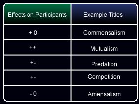 Types of ecological interactions and their consequences