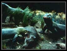 Komodo dragons