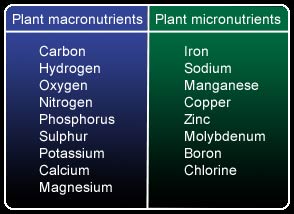 List of plant macronutrients and micronutrients