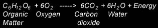 The respiration equation: C6H12O6 + O2 = 6CO2 + 6H2O + energy