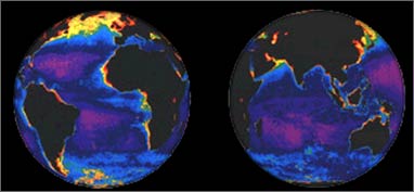 Oceans around the world.