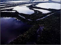 The Amazon: contributing substantial amounts of sodium to the oceans
