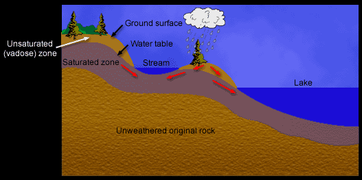 Water may runoff land or percolate downwards through the biologically active zone where it accumulates as groundwater. Water may runoff land or percolate downwards through the biologically active zone where it accumulates as groundwater.