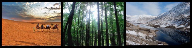 Water can be found almost everywhere allowing life to persist. Water can be found almost everywhere allowing life to persist.