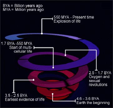 Time spiral