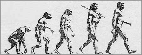 Evolution of man