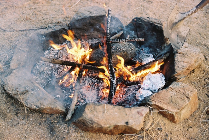 Fire