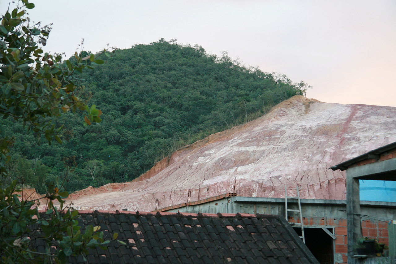 Deforestation