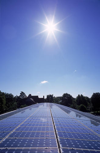 Sunlight is a renewable resource