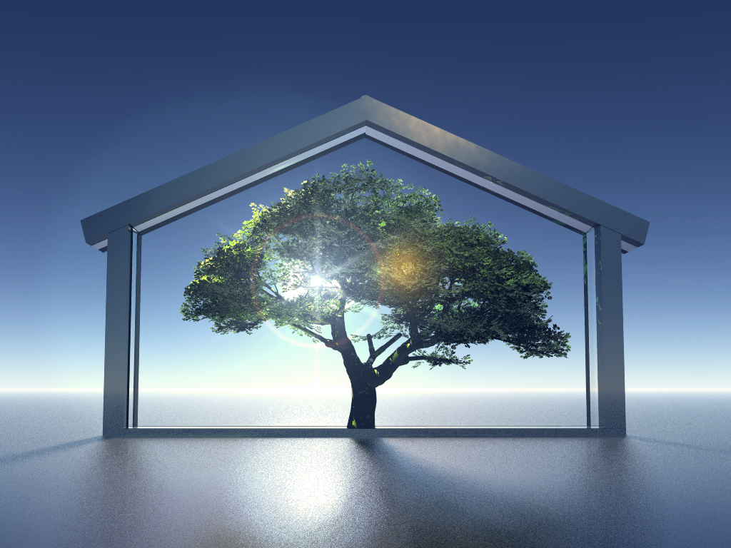 Sustainability