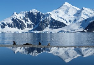 Photo by Victoria Smith, Mountain, sea and seal reflection (2011 Photo Competition Winner)