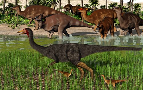 Gallimimus bullatus