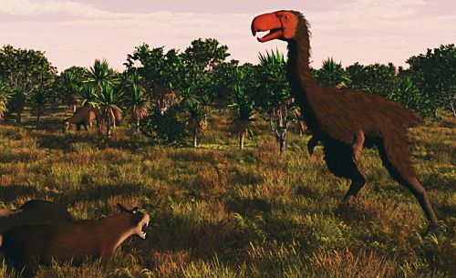 Phorusrhacos longissimus
