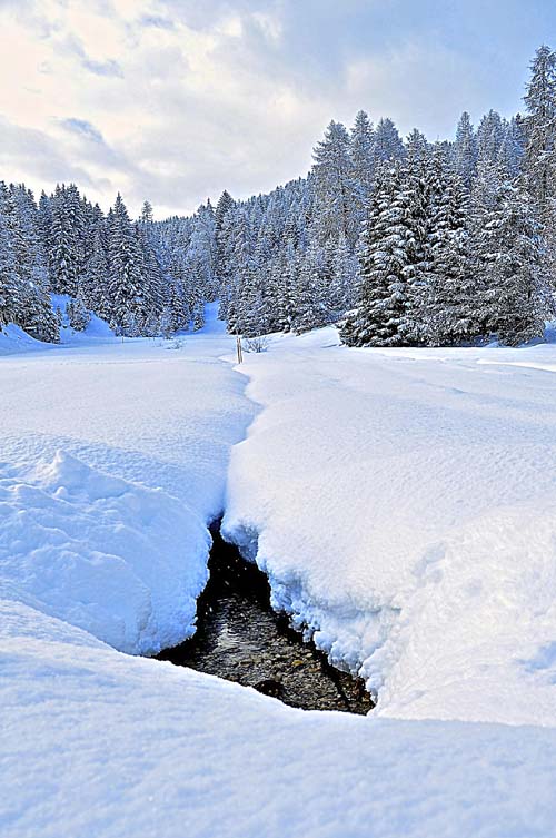 Seefeld scenery