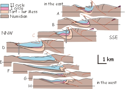 Folds