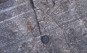 Sheared granite
