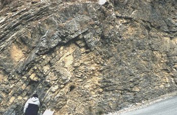 Fold in limestones
