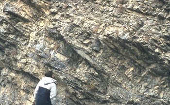 Thrust in limestones