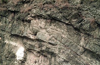 Thrust in limestones - 2