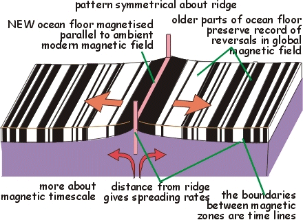 magnetic reversal mid ocean ridges