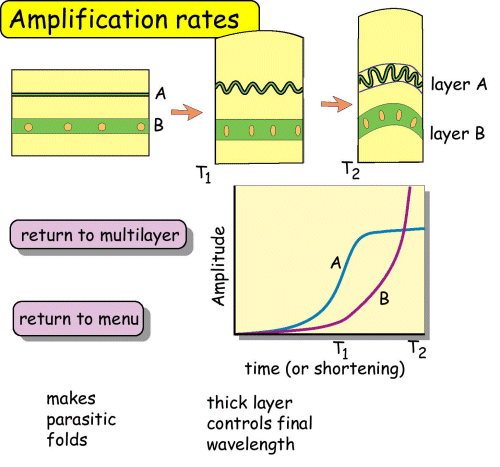Amplification rates