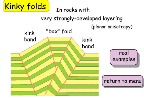Kinky folds